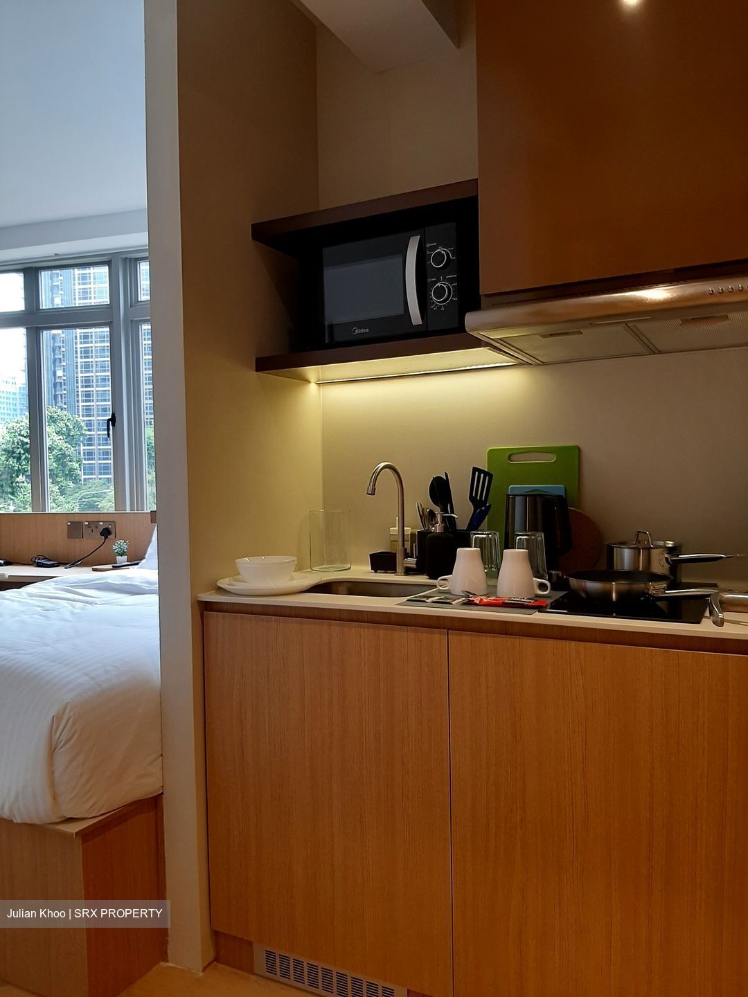 Mount Elizabeth Link (D9), Apartment #412207361